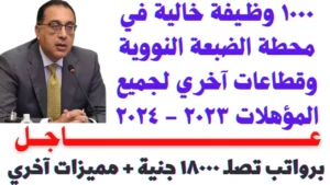 برواتب تصل لـ13 ألف جنيه.. وظائف مشروع الضبعة لـ 1450 شابًا والتخصصات المطلوبة
